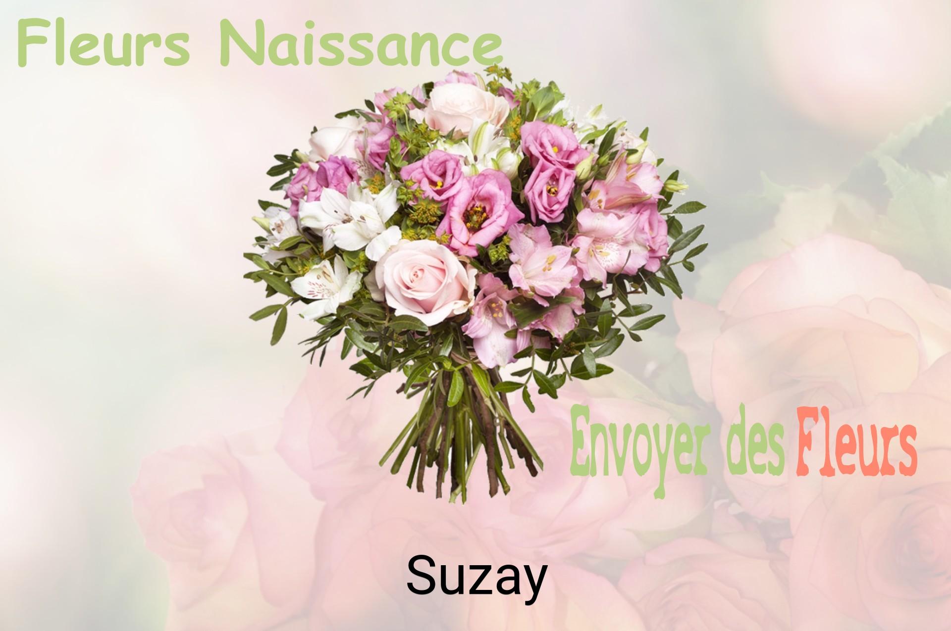 Bouquet de fleurs de naissance livré à Suzay